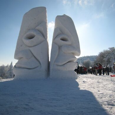 Ledové království